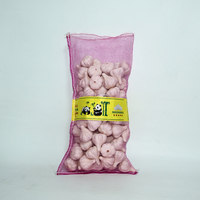 Hete Aanbieding Normale Witte Knoflook Hoge Kwaliteit Mesh Zak voor Groothandel Peru Markt