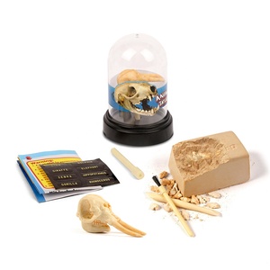Nhà Máy Bán Hàng Trực Tiếp Đất Sét Lắp Ráp Đồ Chơi Động Vật Sọ 8 Các loại Thăm Dò Khai quật Bộ Dụng Cụ Vui Đào Nó ra Trò Chơi Chàng Trai Cô Gái - Product Image 2