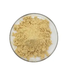 Venta al por mayor de fábrica Gingerol 5% Extracto de jengibre Polvo de calidad superior Jengibre natural Grado alimenticio