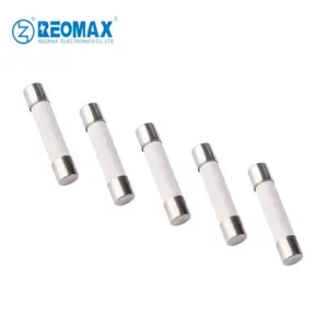 High Quality 250V Ceramic Tube Fuse 6x30mm 6.35x32mm 200mA-50A Fast Acting Time Lag Electrical Ceramic Fuses