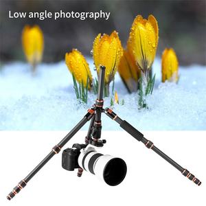 Trépied K&F Concept Multifonctionnel en Fibre de Carbone Monopode Accessoires pour Appareil Photo Monopodes Trépieds pour <span class=keywords><strong>GoPro</strong></span> - Product Image 5