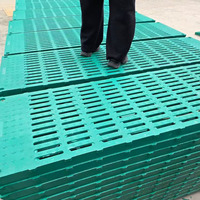 Plancher à lattes léger et facile à installer, résistant aux urines, avec grille en acier pour enclos de maternité de porcelets