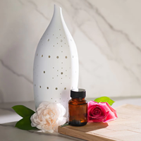 Diffuseur d'ambiance personnalisé Puissante technologie de nébulisation Led Système de parfum Purificateur d'air en céramique