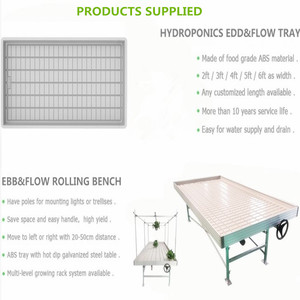 Attrezzatura per Coltivazione Idroponica in Serra, Vassoio ABS 2*4 4*8 19cm di Profondità, Tavolo Scorrevole per Sistema Ebb and Flow - Product Image 5