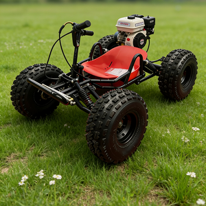 Venta Directa de Fábrica a Precios Ultrabajo, Go-Kart Todoterreno de 4 Tiempos con Arranque Manual para Niños, Kit de Gasolina para Disfrutar en el Campo, 212cc - Product Image 1