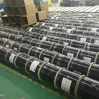 Kabel Serat Optik Singlemode 1fo 2fO 3 4 6 12 Core Flat Fiber dengan Selubung LZSH untuk Dalam dan Luar Ruangan, Kabel Drop Fiber Optik FTTH 1km Harga Per Meter