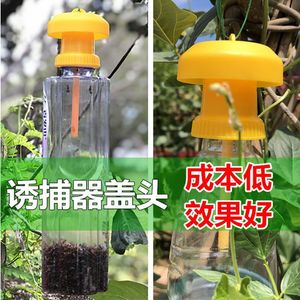Piège à mouches des fruits en plastique pour le contrôle des insectes dans le jardin - Product Image 1
