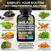Complément alimentaire VitaSpring Ginko Biloba et Ginseng Shilajit Ashwagandha Rhodiola Rosea Panax Ginseng, comprimés de ginseng pour hommes