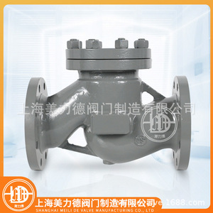 Válvula de Retención de Elevación con Brida de Acero Fundido H41H-16C DN100 WCB para Agua a Temperatura Normal - Product Image 4