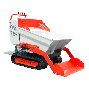 Euro5รถดัมพ์ขนาดเล็กระบบไฮดรอลิกแบบรวมชิ้นเดียวรถดัมพ์รถบรรทุกขนาด500กก. สำหรับงานสวนมาตรฐาน - Product Image 5