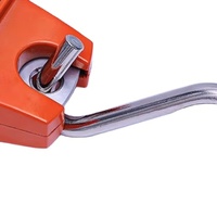 Capacité 30-300KG d'outils de pondération numérique d'échelle de mini grue électronique portative avec l'écran d'affichage à cristaux liquides