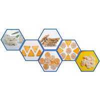 Conception hygiénique Machine à souffler les gâteaux de riz de nature Fournisseur Machine à gâteau de riz automatique sanitaire industrielle rentable