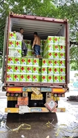 Colle en spray Fengcai, mousse polyuréthane forte et polyvalente, solution pour meubles, matière première principale SBS