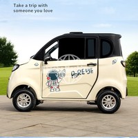 Venta Especial: Mini Auto Eléctrico Barato de 4 Ruedas para Una Persona