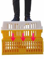 Boîtes de Transport des poules, récipients en plastique, pour bébés, Cage, 2 unités