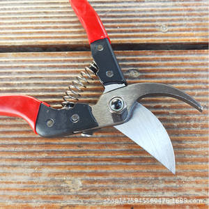 Sécateur Hisaichiro S108H, lame de 45 mm en acier inoxydable SK-5, structure papillon pour la taille des arbres et des branches fruitières - Product Image 3