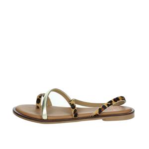 Sandali Bassi 3093 Marrone/Oro - Product Image 1