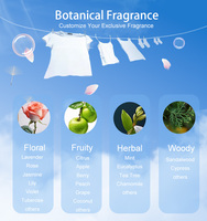 3 in 1 masker deterjen sekali pakai ultra-konsentrat ramah lingkungan untuk pakaian bayi & pakaian layanan OEM bentuk Gel
