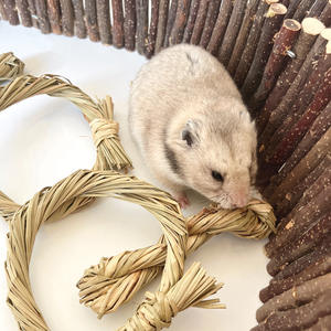 Doğal su dokuma çim topu yüzük çiğnemek oyuncaklar için küçük evcil hamster kobay sıkıntı kabartma diş taşlama el yapımı çim - Product Image 2