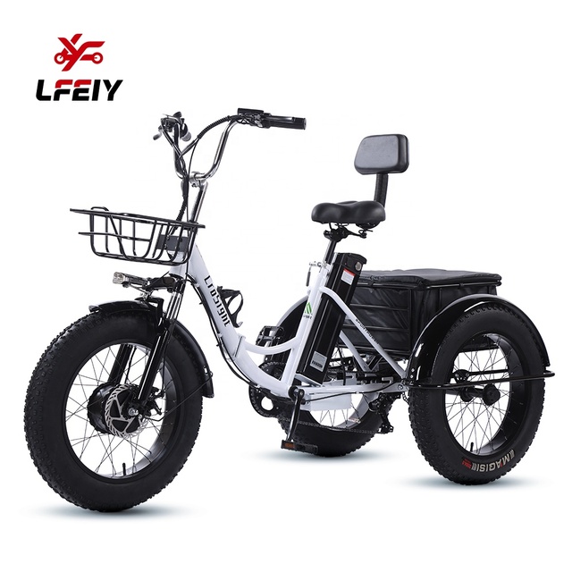 750w Removable Battery Electric Bike 3 Wheel Comfortable Seat Folding Tricycle Cargo Bike