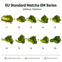 Poudre de Matcha Biologique HALAL UE de Qualité Cérémoniale, Thé Vert Matcha en Poudre, Emballage en Boîte ou Sachet, Vente en Gros en Vrac, Marque Privée