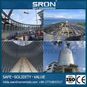 Professionelle Zement Silo Zeichnung, SRON Bieten Kostenlose Beratung von Ihre Sil Projekt - Product Image 6