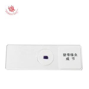 Portaobjetos Preparados, Portaobjetos Médicos, Taeniasis Solium, Parásito Segmentario, Gusano de Tierra, Proglotídeo Maduro, Portaobjetos Preparados de Vidrio - Product Image 2