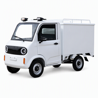 Mini-camion électrique personnalisé, véhicule utilitaire léger à énergie nouvelle, véhicule commercial électrique, voiture électrique