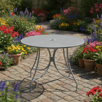 Table de salle à manger extérieure moderne en acier Joyeleisure avec plateau en maille métallique certifiée EN-581, couleurs personnalisables pour villa, hôtel, parc