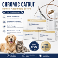 Sutures en catgut chromique résorbables pour la chirurgie vétérinaire, fil de suture pour la fermeture des plaies chez les animaux