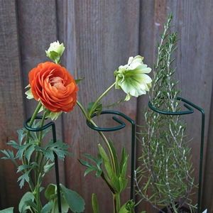 Anello di Supporto per Piante Elettrozincato con Apertura Laterale 1-5mm X 10-50cm, Supporto per Fiori Pieghevole e Tagliabile per Peonie e Ortensie in Vaso - Product Image 2