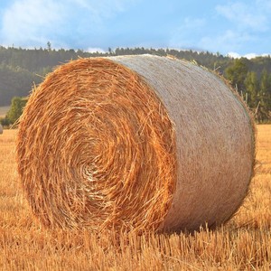 Resistenza UV farm hdpe balle di fieno involucro di insilato per azienda agricola rete per balle - Product Image 6