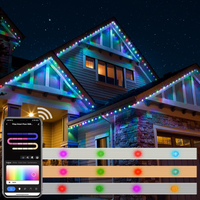Éclairage et contrôleur LED étanches extérieurs Pixel pour les vacances de Noël IP68 Address Smart Permanent Light