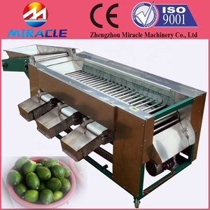Selezionatrice di olive in acciaio inossidabile per dimensione/selezionatrice per olive verdi/macchina per classificare le olive per dimensione - Product Image 2