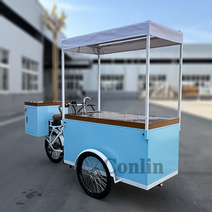 Chariot de crème glacée vélo électrique chariot de vélo de glace pilée chariot de Popsicle congelé à vendre - Product Image 5