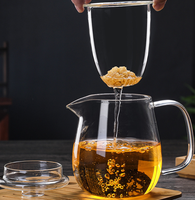 Théière moderne en verre borosilicate avec couvercle, poignée et bec verseur, résistante à la chaleur, sans BPA, pour thé en vrac et infusions aux herbes, pour la maison, la cuisine et le café