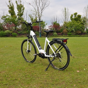 750w de la vieja escuela de crucero de <span class=keywords><strong>playa</strong></span> helicóptero/500 w rata caliente ROD E bicicleta con batería oculta 2019 - Product Image 4
