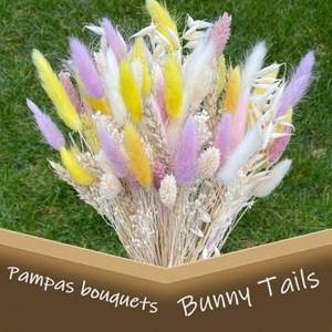 Yow and Purple Bun Tails Flores Secas, 100 Piezas de Colas de Hierba de Pampas de 17 Pulgadas, Flores de Lagurus Ovatus, Flores de Pascua, Floral - Product Image 2