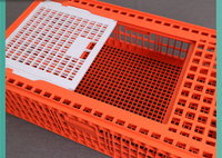 Cage de transfert durable pour le transport de volaille, de poulet, de canard et d'oie