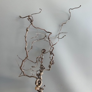 Offerta Speciale: Alberi Artificiali <span class=keywords><strong>in</strong></span> <span class=keywords><strong>Legno</strong></span> Ecologici e Durevoli, <span class=keywords><strong>Rami</strong></span> di Fiori Secchi, Elemento Decorativo Moderno Dragon Jujube Ignifugo - Product Image 4