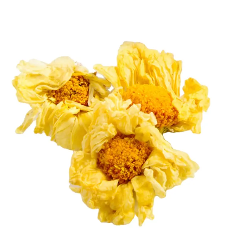 Hang bai ju tè di fiori di morifolium di crisantemo giallo puro essiccato naturale