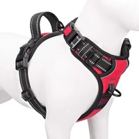 Harnais pour chien personnalisable en nylon respirant et réglable, marque privée OEM, pour chiens de petite, moyenne et grande taille