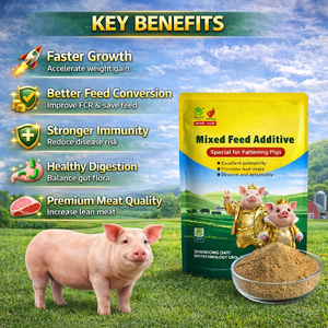Probiótico de Alto Rendimiento para Engorde de Cerdos, Mejora la Tasa de Conversión de Alimento, Aumenta la <span class=keywords><strong>Porcentaje</strong></span> de Carne Magra, Mejora el Sabor de la Carne, Salud Intestinal - Product Image 2