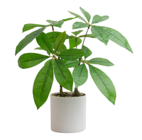 Plante artificielle en pot en forme de boule, en plastique, feuilles vertes, fleurs, légère, écologique, décoration de bureau pour l'intérieur