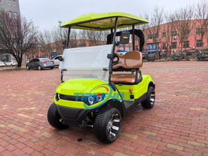 Nuovo arrivo stile 60V 72V batteria al litio elettrico Golf Cart Car 2 posti in vendita - Product Image 4