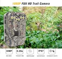 Камера для наблюдения за дикой природой Night Color Trail Camera, прямые поставки с завода, OEM/ODM, 1080P, 30 МП, с белой LED-подсветкой