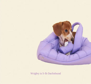Küçük köpek çanta hafif yavru taşıyıcı moda kadın tote için evcil hayvan çantası küçük yavrular çanta gıda su Poop çanta evcil hayvanlar için - Product Image 2
