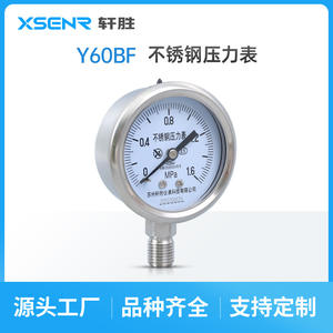 Manomètre en acier inoxydable Suzhou Xiansheng Y60BF 1,6 MPa, raccord fileté, manomètre analogique - Product Image 3