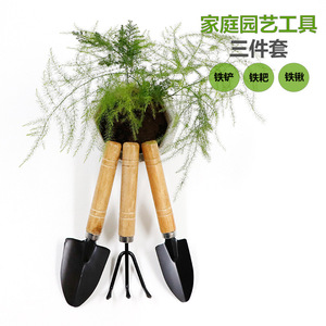 Ensemble d'outils de jardinage Basil Mini, 3 pièces, en fer, avec manche en bois, outils de jardin durables pour planter des fleurs et des plantes succulentes - Product Image 2