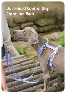 Vente en gros personnalisé moderne et imperméable à l'eau enduit de PVC double tête laisse de chien de luxe à la mode mains libres accessoire pour animaux de compagnie durable - Product Image 3